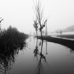 Other pictures gallery